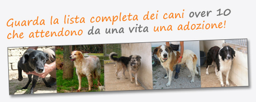 listacompleta_nonnini