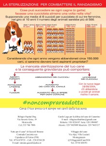 sterilizzazione