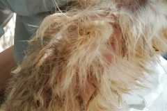 cfc4267a-d7bc-4d25-a080-073895068742