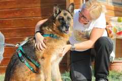 0e10c7f7-b280-44ba-b70e-361cadfef0ad