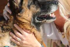 2165cfb4-db3a-4ae6-83dd-b7532a6a482b