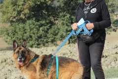 75462681-0202-4cc1-9183-d9dce3e2f42a