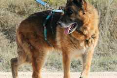 a242e0d6-4661-4fa5-a4a7-39fd4de67bfc