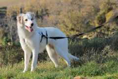 5d2e9794-a5d5-401a-a0ee-0a641fbc0558