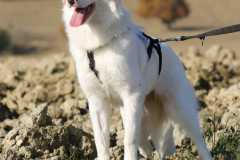 b35f90d5-b5e6-4bc2-8c60-9698bca3e195