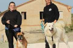 1a845355-d3c0-400a-ac4a-9c15e2be38e4