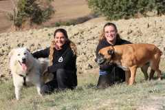 5fb6775f-e3b0-4013-bbb0-0fbabddcdd43-1