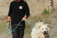 731bf078-1c9b-42e2-9eff-36425c672a50