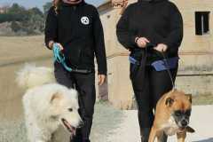 9d4bd0af-224e-4fe5-9442-9a1fb8695b4a