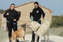 b4727802-b9cb-4f74-b113-0e8f20d5f907