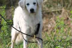 055d9507-9843-432a-a6d6-89183a2c8f9b