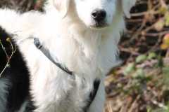 127e5363-fb23-47cf-9864-17855986cf7a