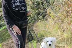 7c3b31c8-db70-4a9b-9f56-4dd5ec0ffda1