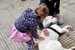 fffcf88a-dd23-46bd-9597-495095f286ef