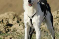 b82f4a0c-ee20-4451-9bfd-b9e445b7d48c