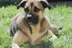 47646636-f0a7-41e9-8daa-3edcf3bd689c