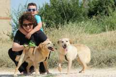 265a8437-3803-4d70-9479-2dd12878cf45