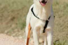 df147659-6669-456a-bd10-20080e1a3a1a