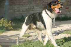9679fbd6-8acb-4aa4-8811-2e1baa3718c1