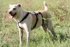 e1fb3155-a1bd-4cfa-8ec7-394415a008ed
