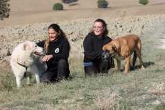 920132b4-b1c2-4110-b5fd-0945780676cc