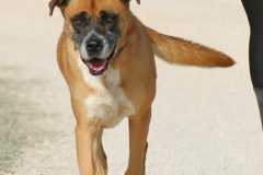 daa5d79a-7d8c-4170-b57a-b0f8b266f0cb