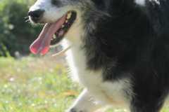 b50de79d-9582-4595-b08b-0a22148aaff7