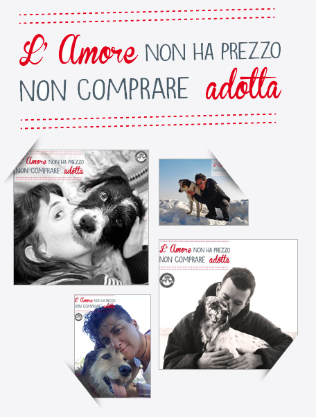 lamorenonhaprezzo